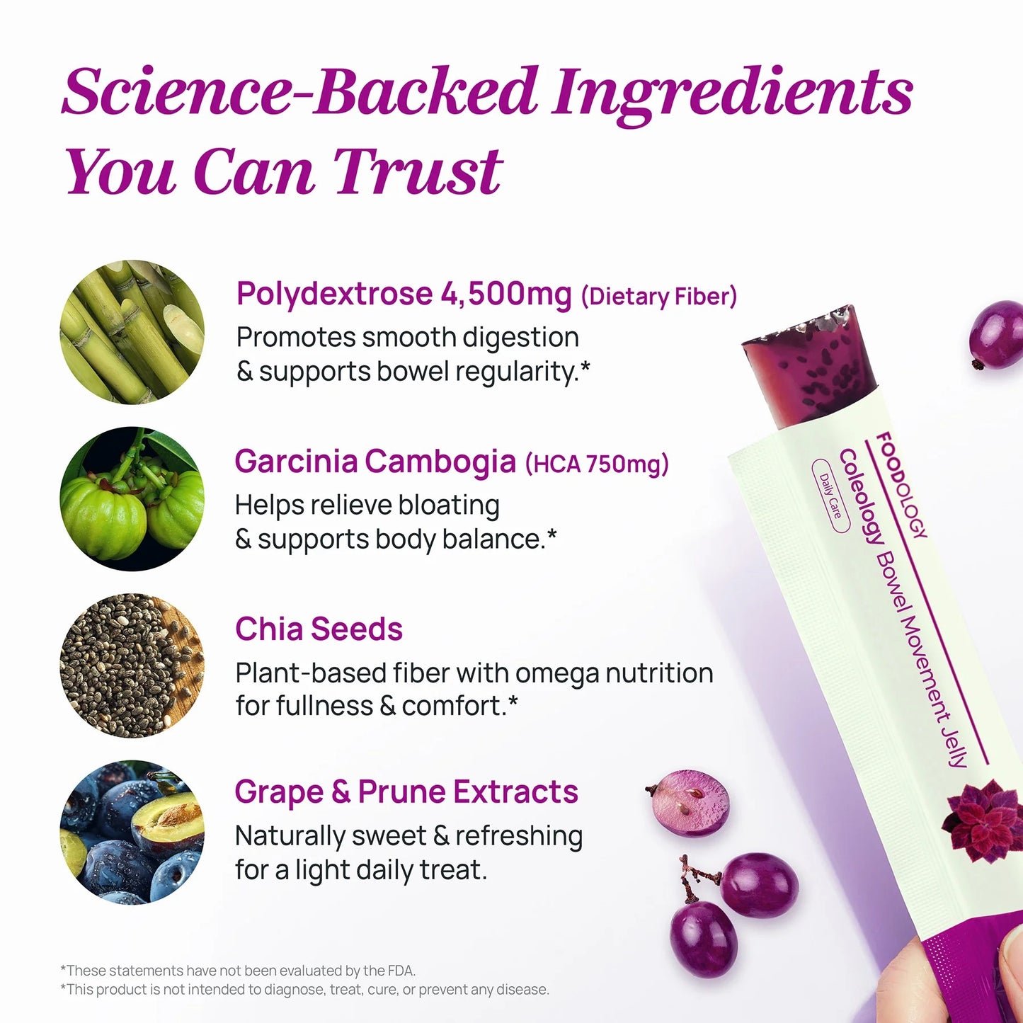 FOODOLOGY Coleology Bowel Movement Jelly, Grape & Prune, 10 Sticks | Prebiotic Fiber Supplement for Gut Health & Immune Support, Constipation & Bloating Relief, Korean Wellness
